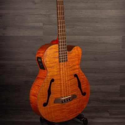 Aria FEB F2M Stained Brown Medium scale Acoustic Bass image 5