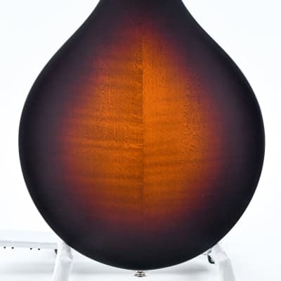 Eastman MD305E Sunburst image 8