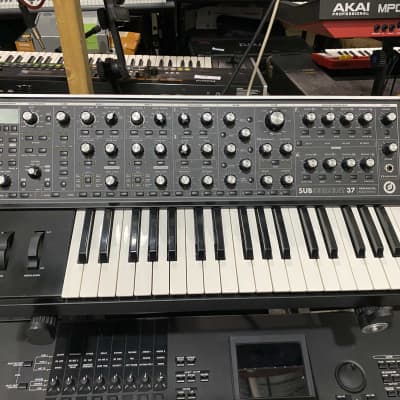 Moog Subsequent 37 Analog Synthesizer Keyboard - Local Pickup Only