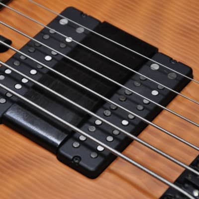 Fodera Emperor Std Limited Doctorbass Edition 6 string Ebony board 17.5mm Figured Redwood top image 7