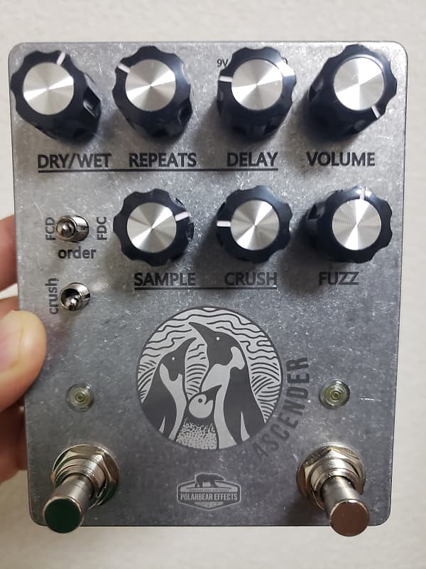 Polarbear Effects Ascender 2022 Reverb