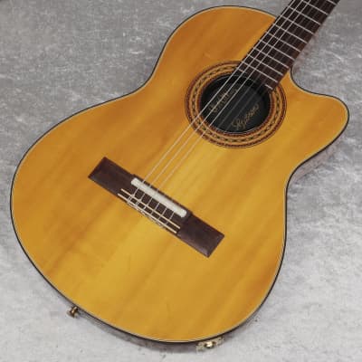 Gibson Chet Atkins CE-AN Solid Body Nylon String Acoutstic-Electric, Reverb Canada
