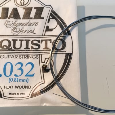 D'Aquisto RARE Jazz Signature Series String .032" Flatwound image 2