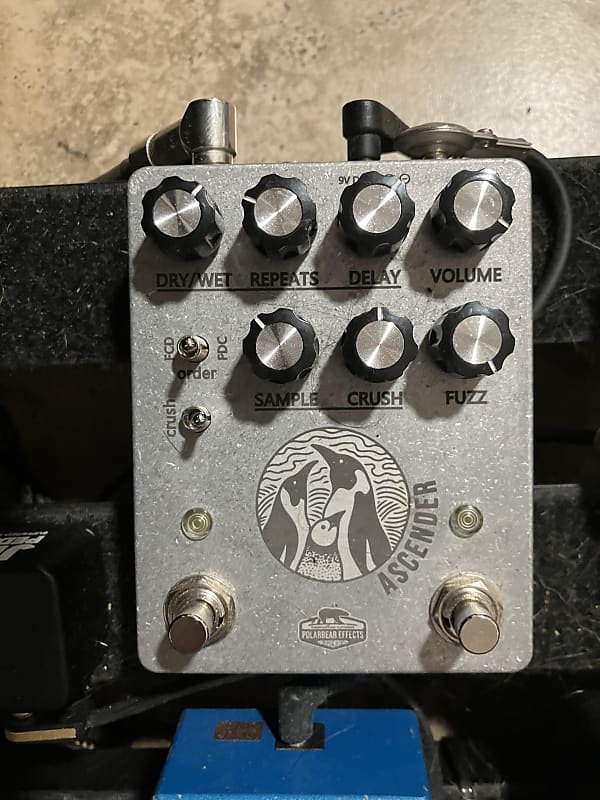 Polarbear Effects Ascender 2022 Reverb