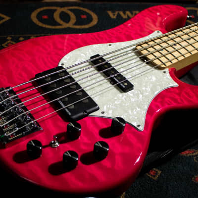 Edwards E-T-170BD L'Arc～en～Ciel tetsuya Model - See Thru