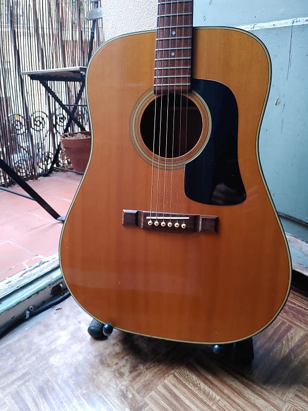 Washburn D15 Acoustic Guitar mij Japan 1981(Yamaki Build)