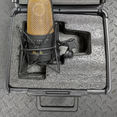 最終値下げ】【希少品】CAD E300-2 GOLD コンデンサーマイク 最終