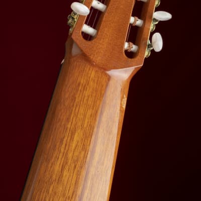 Immagine 1981 Sergei de Jonge 10 String Classical Guitar - Brazilian Rosewood, Luthier Letter of Appraisal - 17