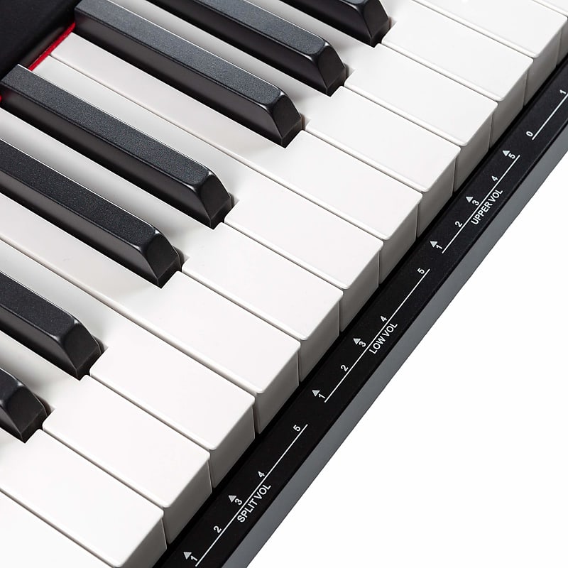 Rockjam 88 Key Digital Piano with full-size half weighted keys, power  supply, note stand, piano decals and piano lessons simply (current version)  : : Musical Instruments