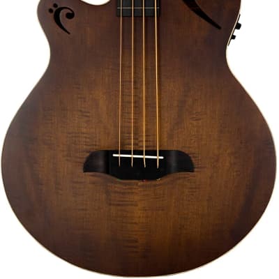 Sawtooth Left-Handed Rudy Sarzo Signature Fretless Acoustic-Electric Bass  Guitar with Padded Gig Bag