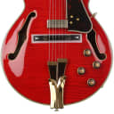 Ibanez GB10SEFM George Benson Signature Hollowbody Electric Guitar (GB10SEFMSRRd2)