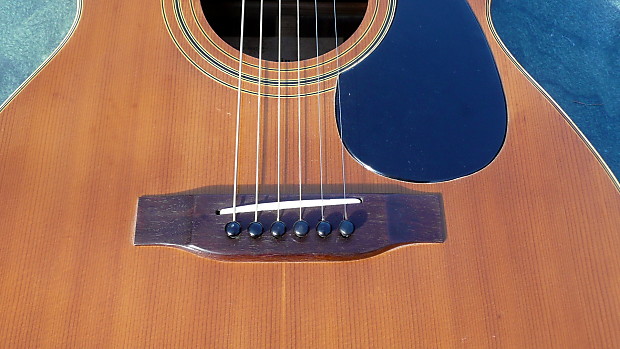 Tokai Humming Bird F200 OOO size Brian May 1973 Natural | Reverb Tokai Humming Bird F200 OOO size Brian May 1973 Natural | Reverb