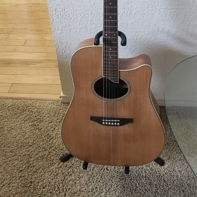 Washburn  Acoustic Electric Guitar/ Stephen's Extended Cutaway for sale