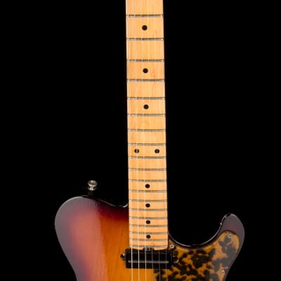 Asher T-Deluxe Tobacco Sunburst with Gig Gag image 10