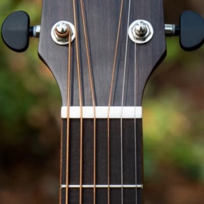 CORT BLACKWOOD OCOPLB Core Series Solid Wood Acoustic/Electric Guitar image 10