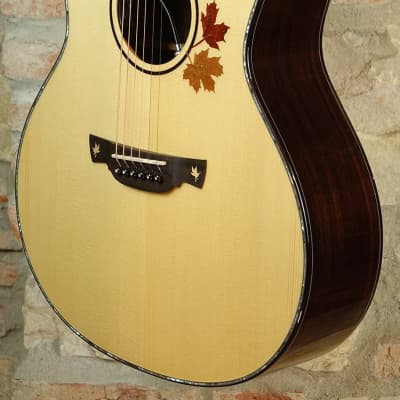 CRAFTER AL G-1000ce - Grand Auditorium Cutaway Solid Rosewood Amplificata DS2 - Natural image 13