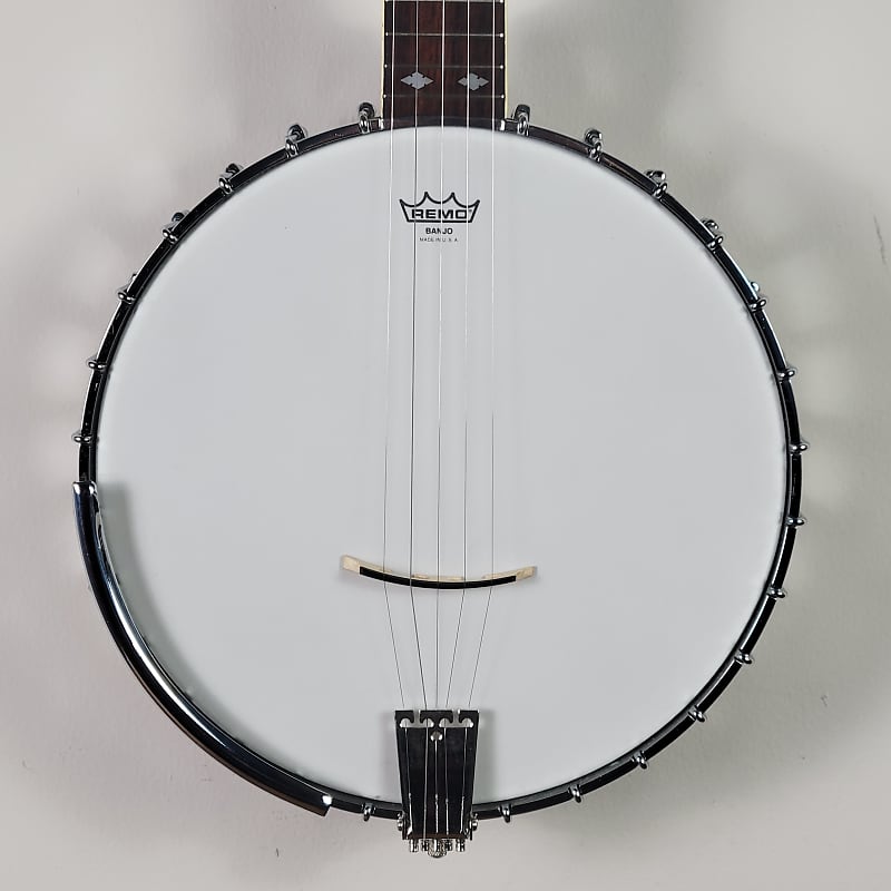 1970's Alvarez Silver Princess 5-String Banjo With OHSC | Reverb
