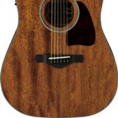 Ibanez Artwood AW54 Ac El Guitar Open Pore Natural for sale