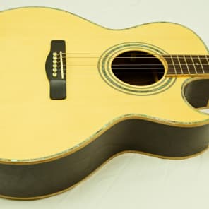 Samick ASMJR CE  Acoustic/Electric Guitar All Solid Wood image 3