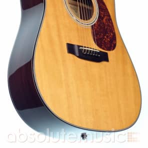 Immagine Martin D-16BH Beck Hansen Signature Acoustic Guitar, Limited Edition - 7
