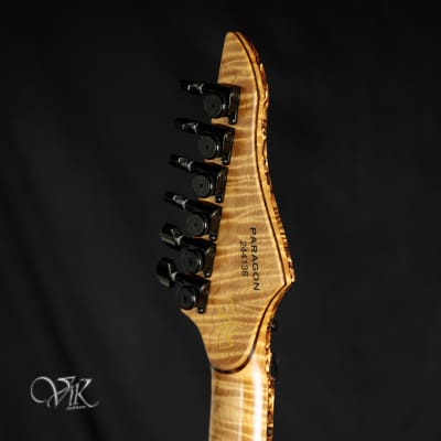 ViK Guitars Duality FR6 - Paragon image 9