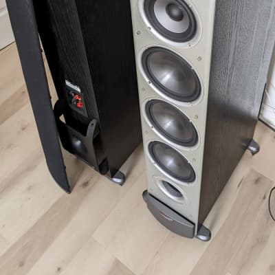 IN STOCK! Polk Audio R50 Two-Way Floorstanding Speaker (Single Unit) - –  Silarius