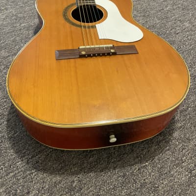 Saturn Acoustic 1960’s - Sunburst for sale