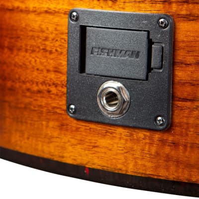 Breedlove Pursuit Exotic S Concert Edgeburst CE Acoustic Electric Koa Guitar image 8