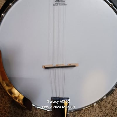 Rogue B30 Deluxe Banjo Mid-2020's for sale