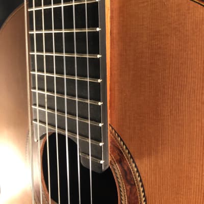 Richard Prenkert 7-String Guitar #401 2019 image 9
