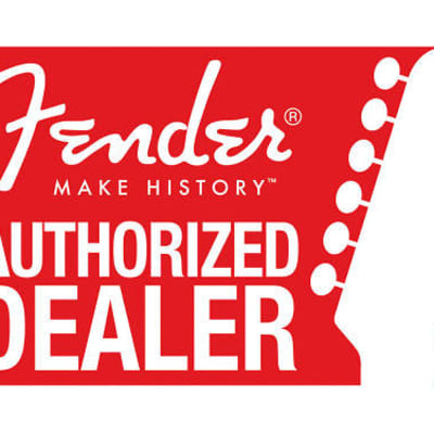 Fender '70s Style Wide Range Humbucking Pickup Mounting Screws x12, 0050166049 image 2