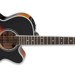 Takamine P6NC Acoustic Guitar (P6NC) image 2