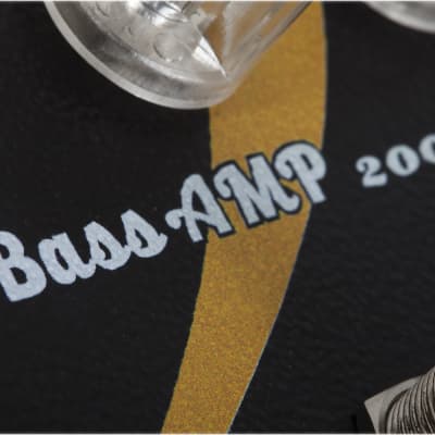Baroni Lab Miniamp BASS (200W Stompbox BASS amp) image 5