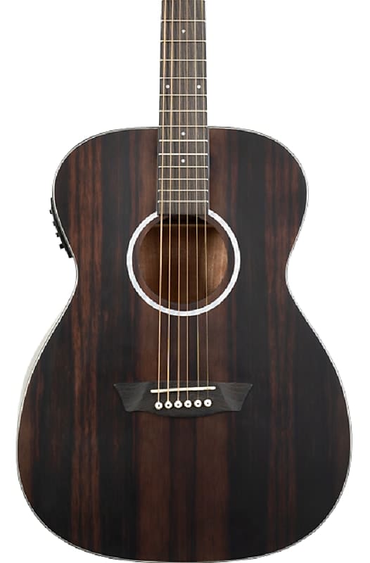 Washburn DFEFE-U Deep Forest Folk Acoustic/Electric Guitar Striped Ebony image 1