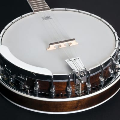 Washburn B11K 5-String Resonator Banjo w/ HSC. New with Full Warranty! image 2