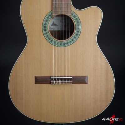 Paco Castillo 220CE Cutaway Electro-acoustic Classical Guitar for sale