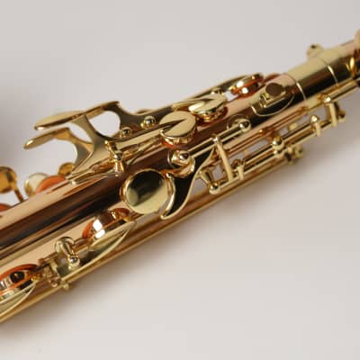 [In Stock]_Freeshipping! Yanagisawa Alto saxophone A WO-2 [AWO2]Bronze Brass Body image 14