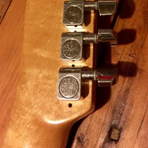 Jeff Buckleycaster Tele Custom Built Warmoth Neck Fender Japan Top Loading Body image 18