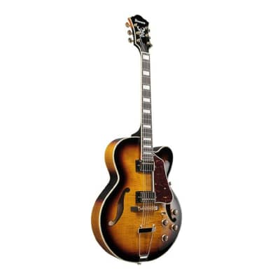 Ibanez AF Artcore Expressionist 6-String Hollow Body Electric Guitar (Antique Yellow Sunburst, Right Handed) image 1