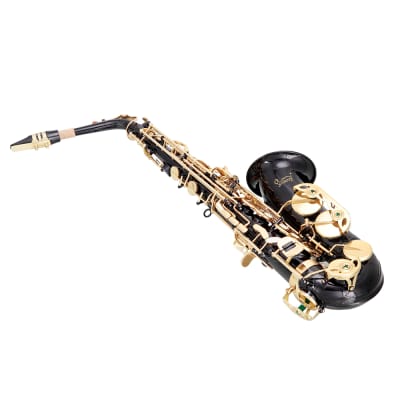 Glarry Alto Saxophone E-Flat Alto SAX Eb with 11reeds, case, carekit, for Students and Beginners 2020s - Black image 6