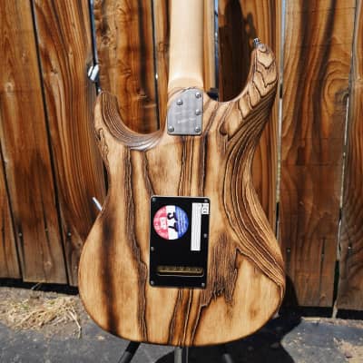 ESP Original Custom Shop Snapper AS-M Driftwood/Burner Satin 6-String Electric Guitar w/ Case (2024) image 9