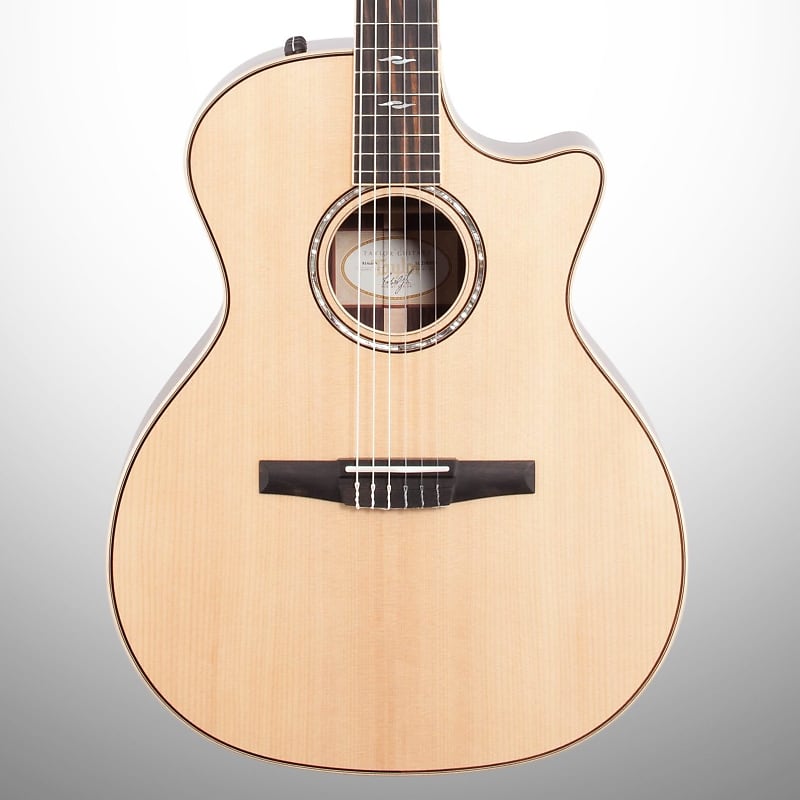 Taylor 814ce-N Grand Auditorium Classical Nylon Acoustic-Electric Guitar (with Case) image 1