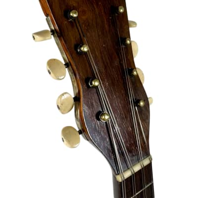 Pasquale Vinaccia Mandolin from 1883 image 13