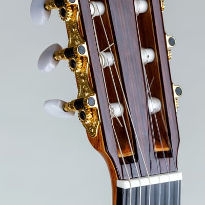 Pavan TP-20  Cedar Spanish Classical Guitar image 8