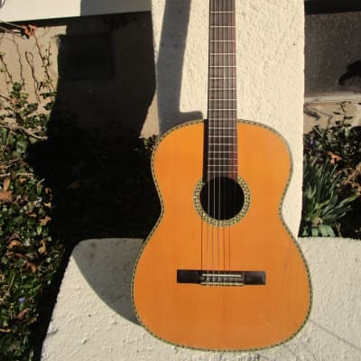 Giannini AWN 300 Classical Guitar, 1970's, Brazil, Rosewood, Very Ornate, Case for sale