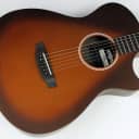 RainSong Al Pettaway Special Edition Acoustic-Electric Guitar w/hsc New #ISS4661