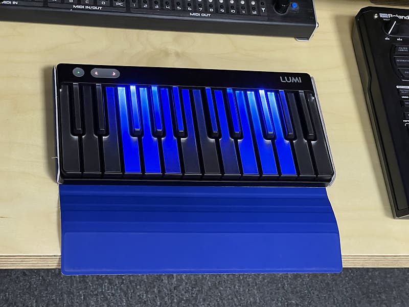 ROLI Lumi Keys with Snapcase