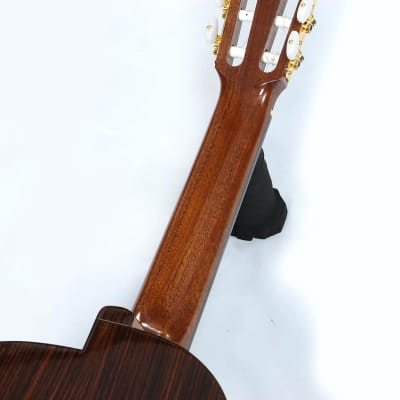 Yukinobu Chai No.10 Alto Guitar- Shipping Included* image 6