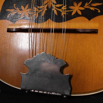 Regal circa 1900 Mandolinetto Spruce/Oak/Brazilian Rosewood image 3