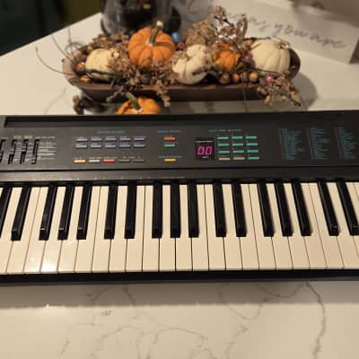 Yamaha PSR-6 (Full Size Keys)